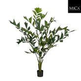 Fishtail Palm In Pot Green - H120Xd80Cm